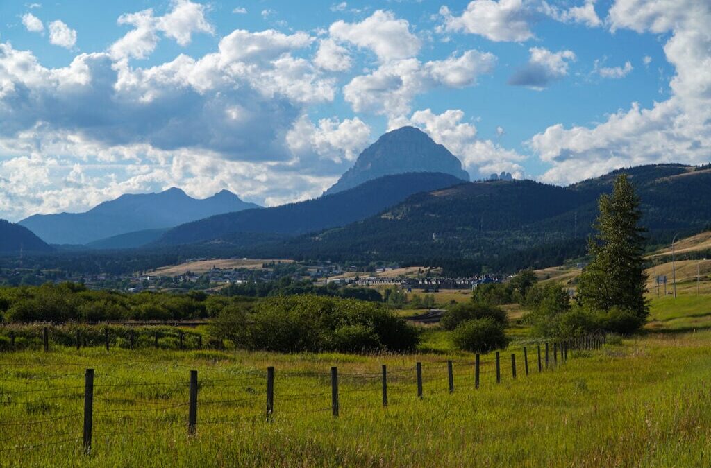 Own a Vacation Rental In the Crowsnest Pass