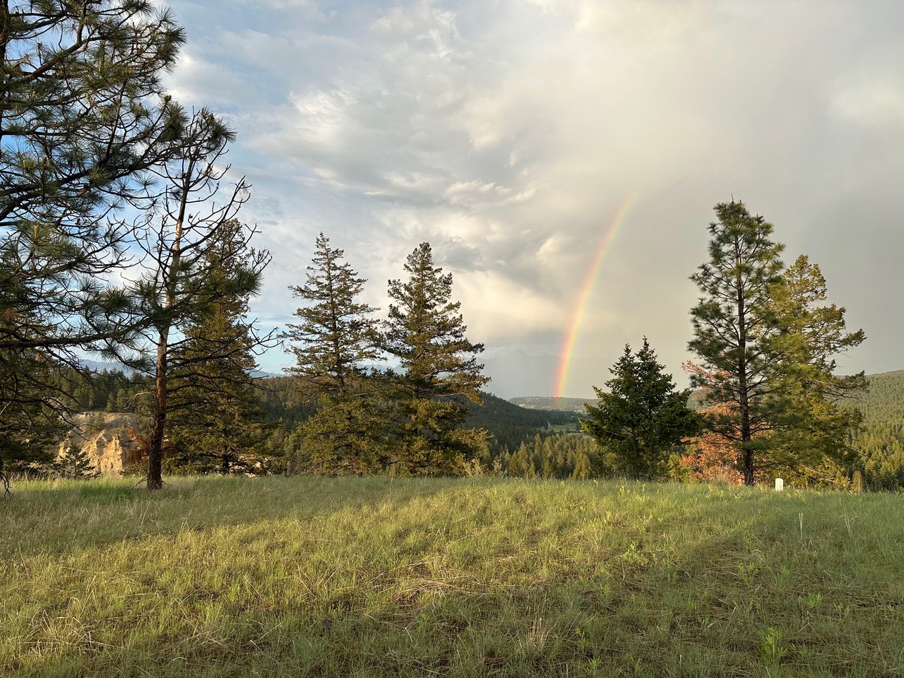 Shadow mountain family life in Cranbrook